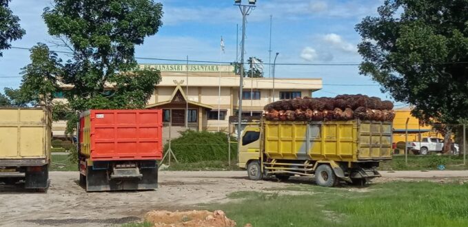 Wanasari Nusantara Kuasai Kembali HGU Secara Humanis