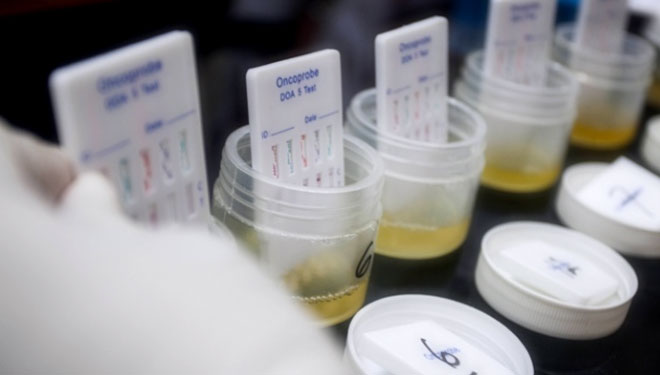 PT Mustika Agro Sari Tegas Lawan Narkoba, Laksanakan Tes Urine Massal bagi Seluruh Karyawan